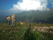 SENTIERO DEI FIORI CLAUDIO BRISSONI, percorso con giro ad anello, partendo dal Rif. Capanna 2000 il 1 agosto 2012  - FOTOGALLERY